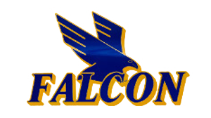 Falcon Xpress